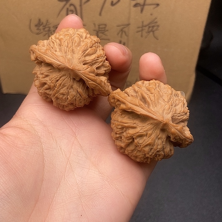 浪***毒大大大大大大官帽