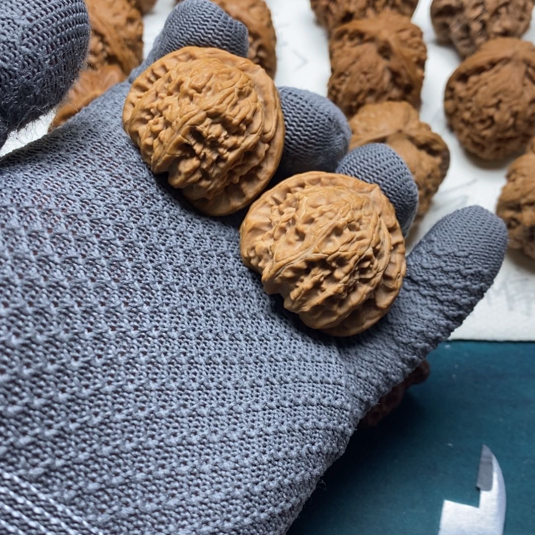 把件龙脊菩提37尺白狮子00088