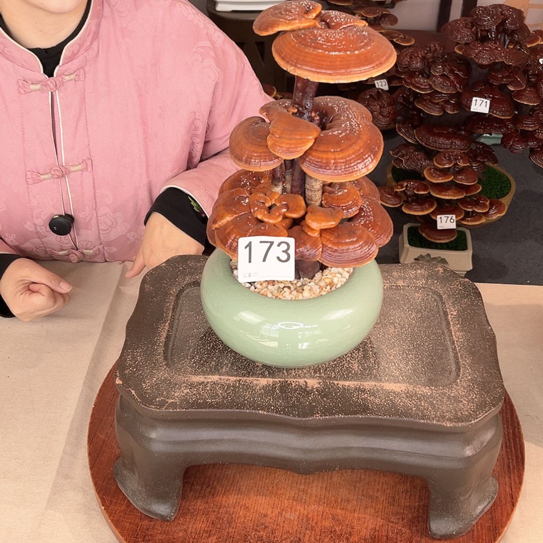 万事如意88888173