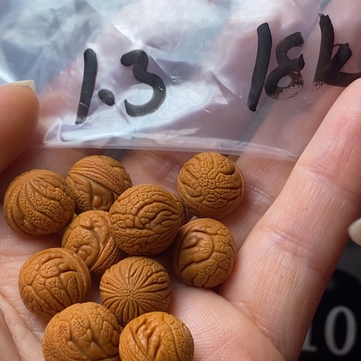 文玩核桃手串秦岭野生龙纹桃核13