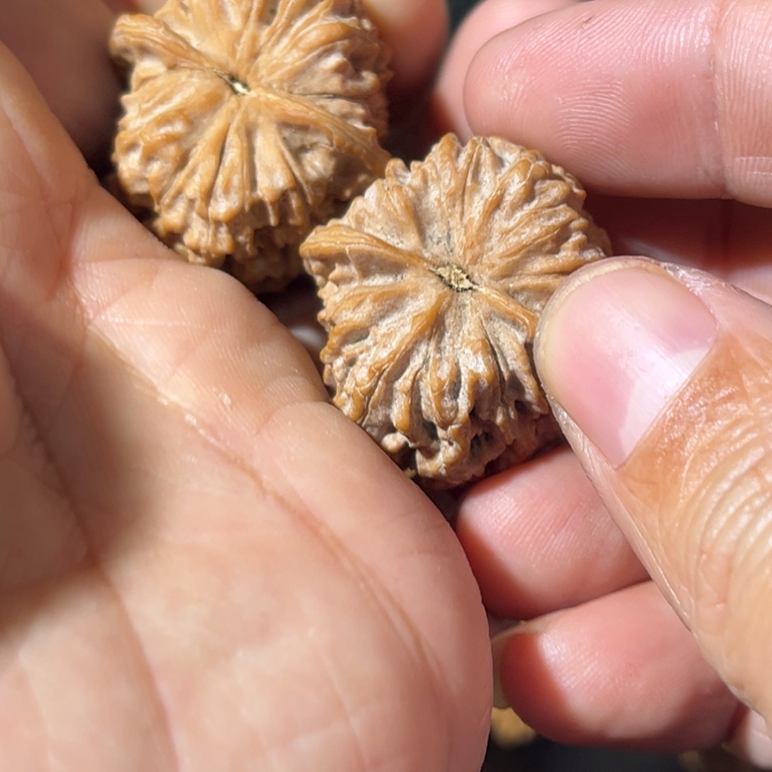 念***玖吊坠文玩核桃一物一拍不喜勿拍