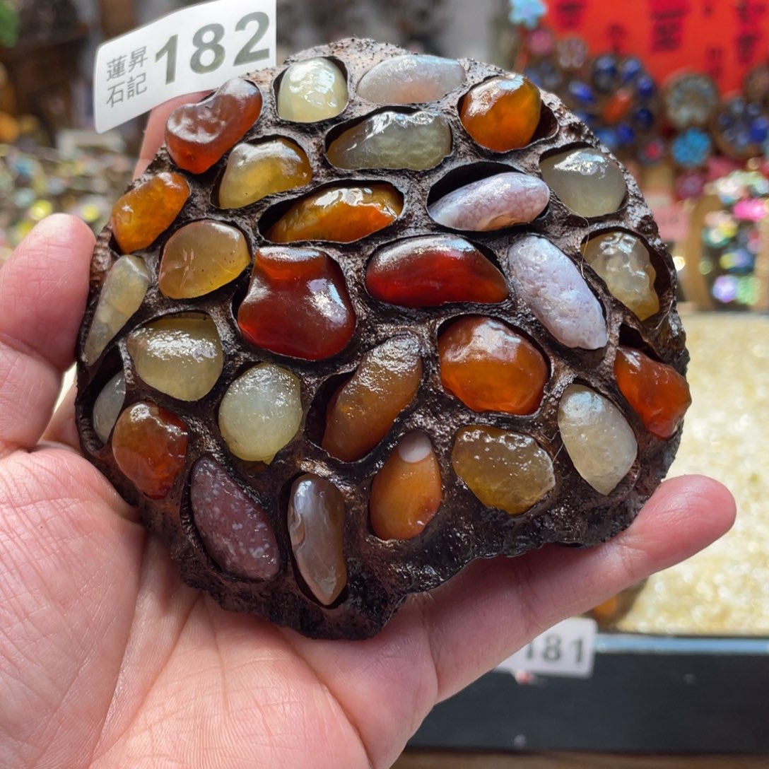 核桃木/黑胡桃（胡桃木）182