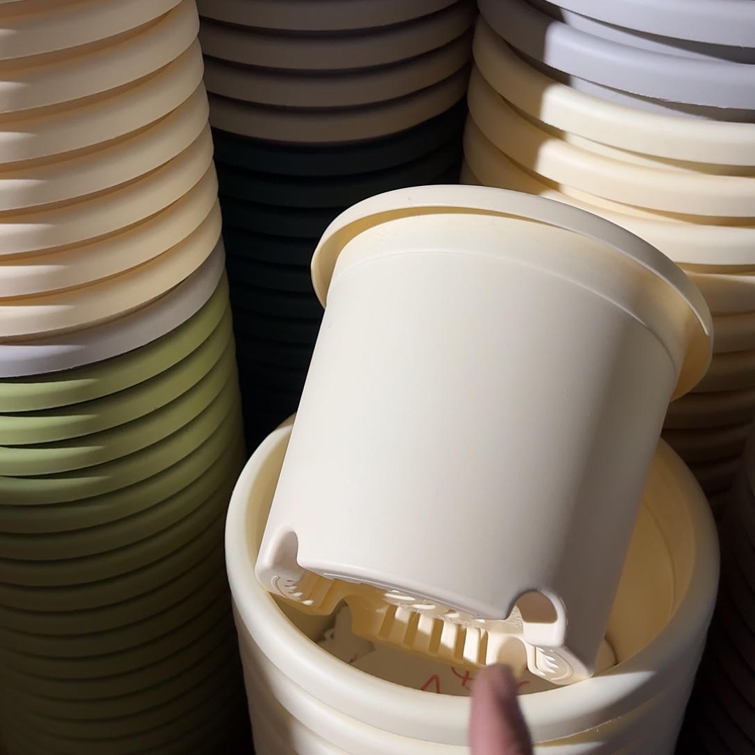 树脂四季2号无托12个米黄微瑕