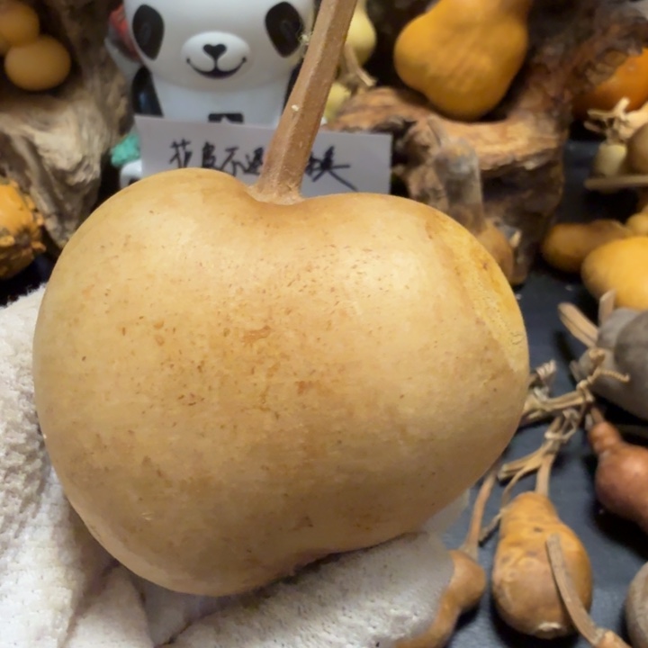 咕***猫6666666667777777