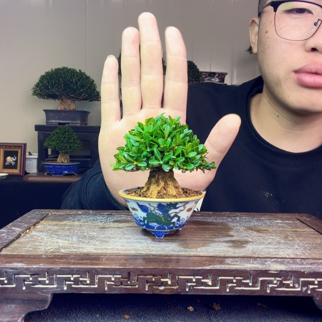 石***头1111111111111111111