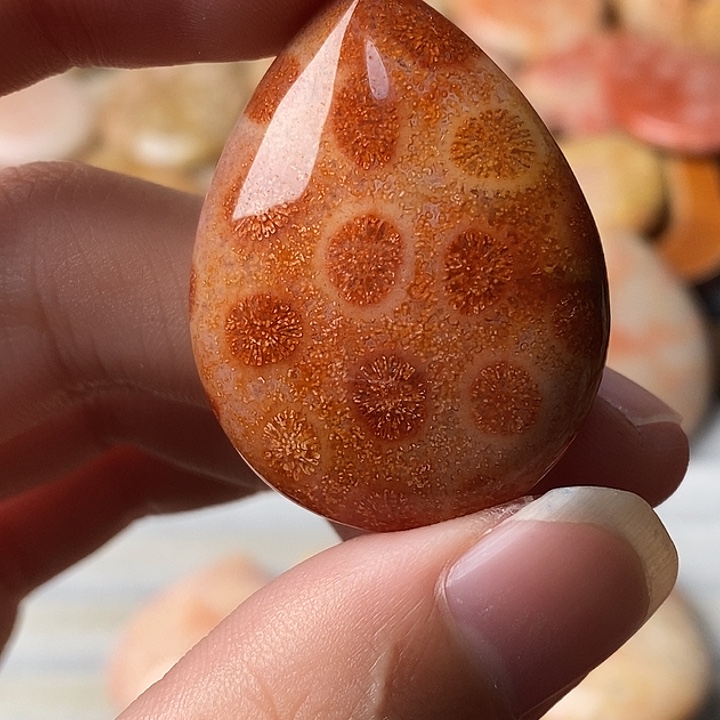 硅化珊瑚未镶嵌颈饰