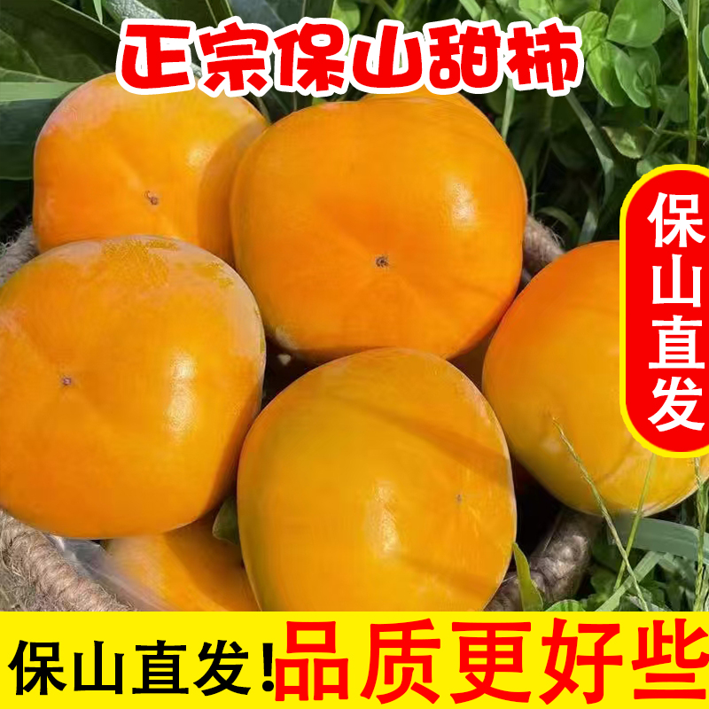 保山巧克力脆柿产地直发次郎脆柿硬柿子脆甜不涩可选顺丰包邮隆阳