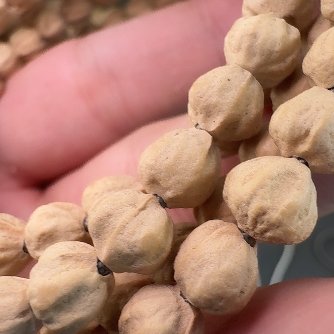 柏香籽/百香籽吊坠八*龙