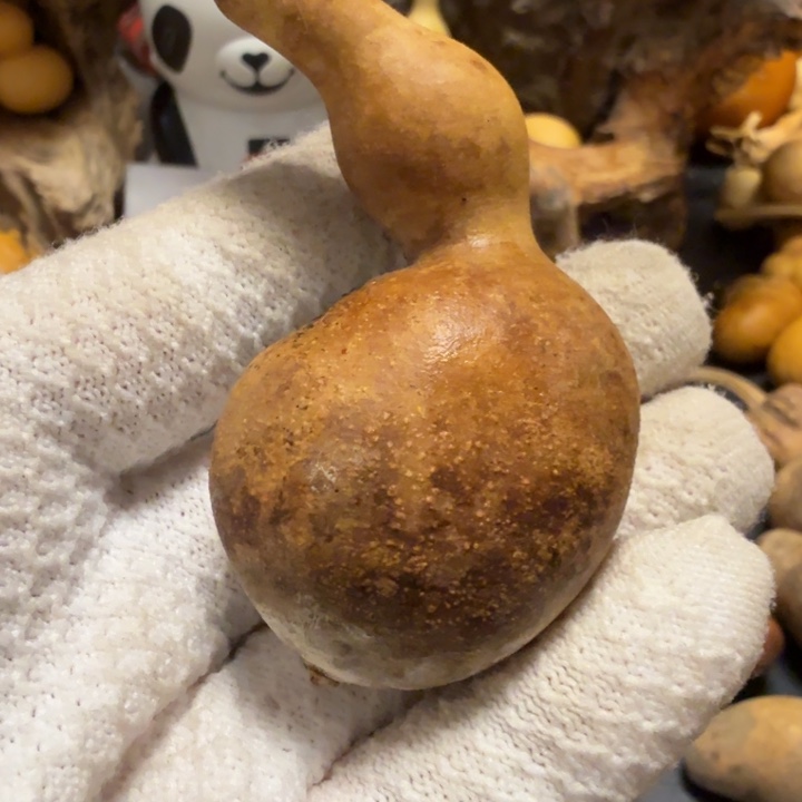 尚***猫66666666667777777778