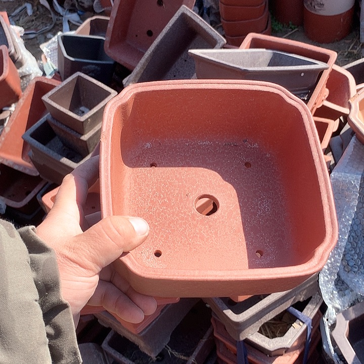 紫砂没有那么重要的人在