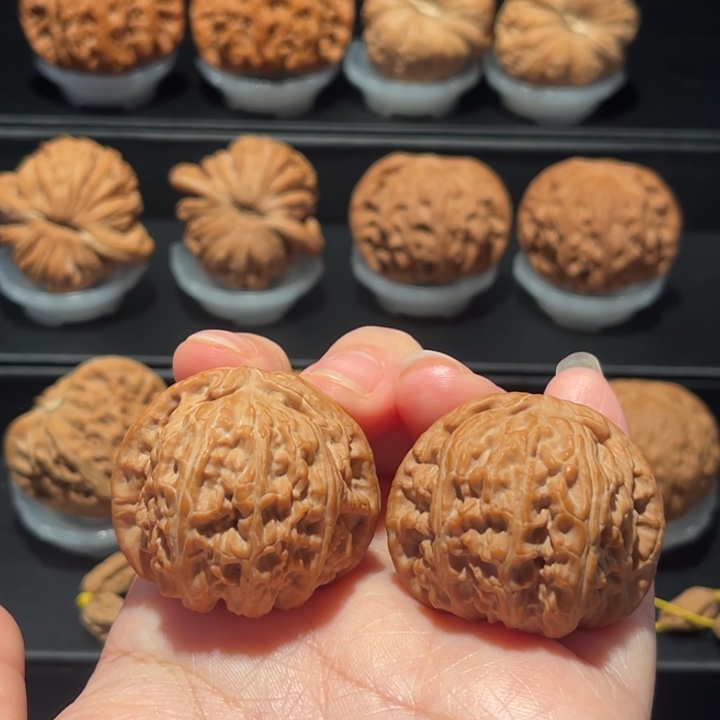 全品，精品，39白狮子109