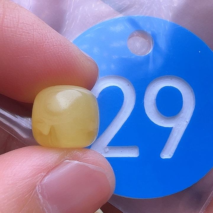 蜜蜡裸石未镶嵌10.6m m