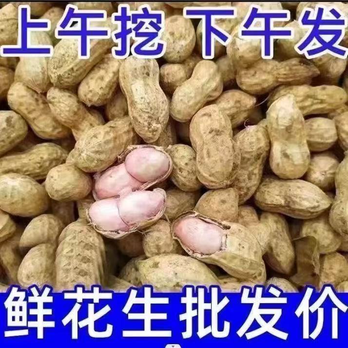 z农家自种新鲜带壳湿花生可生吃水煮美味可口