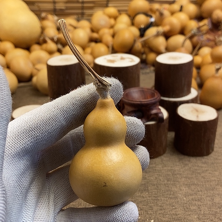 文玩葫芦 完美主义者 慎拍2