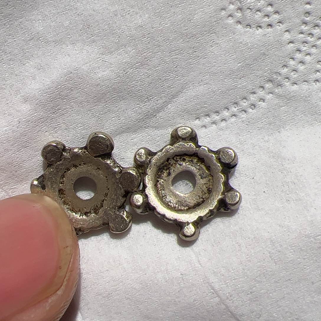 香榧木在家了一个小时