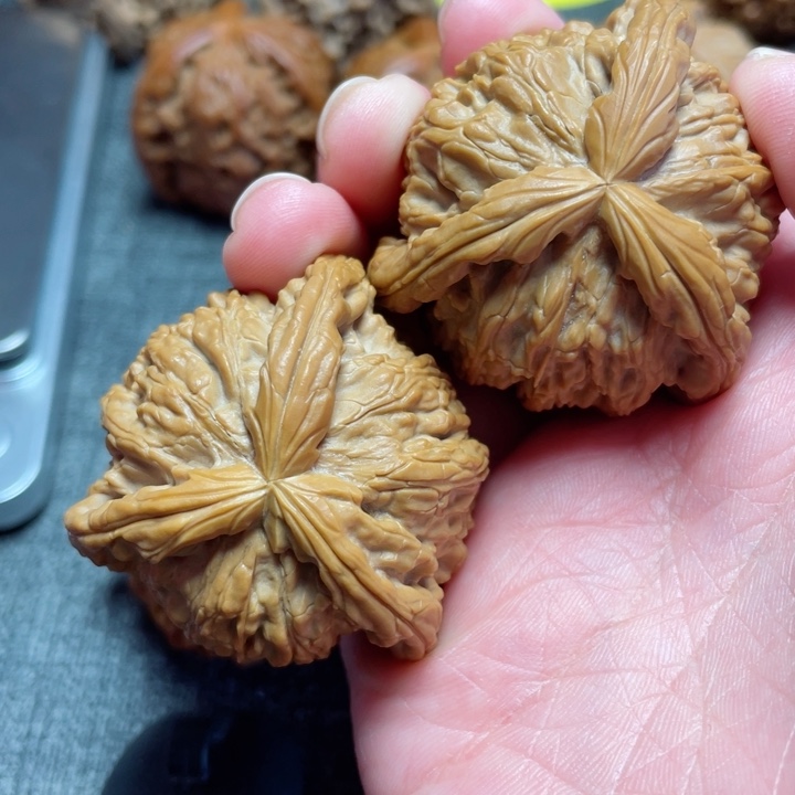 工艺三棱白狮子三棱