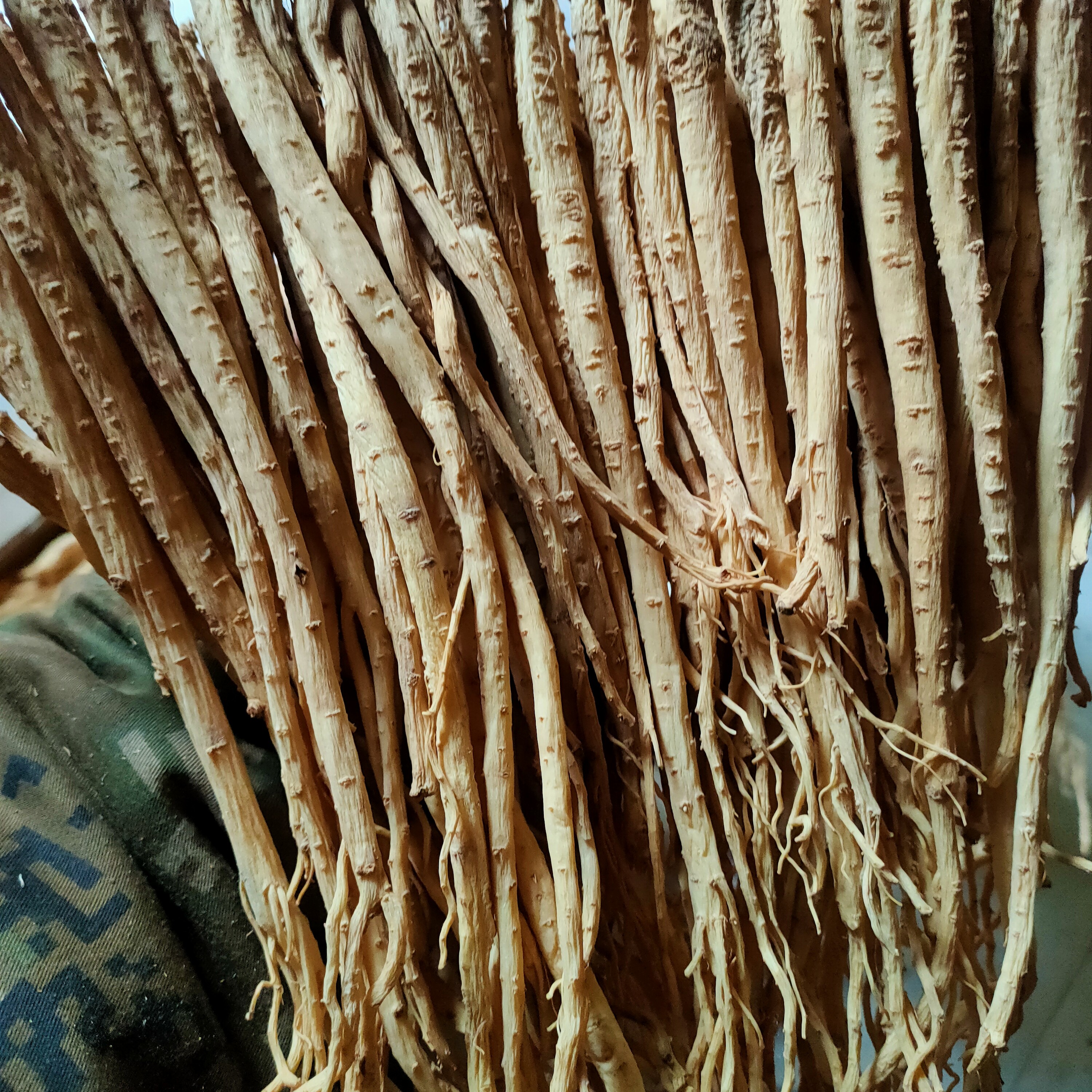 甘肃农家种植党参大条，小条，干的白条党参，可煲汤炖肉，滋补养生