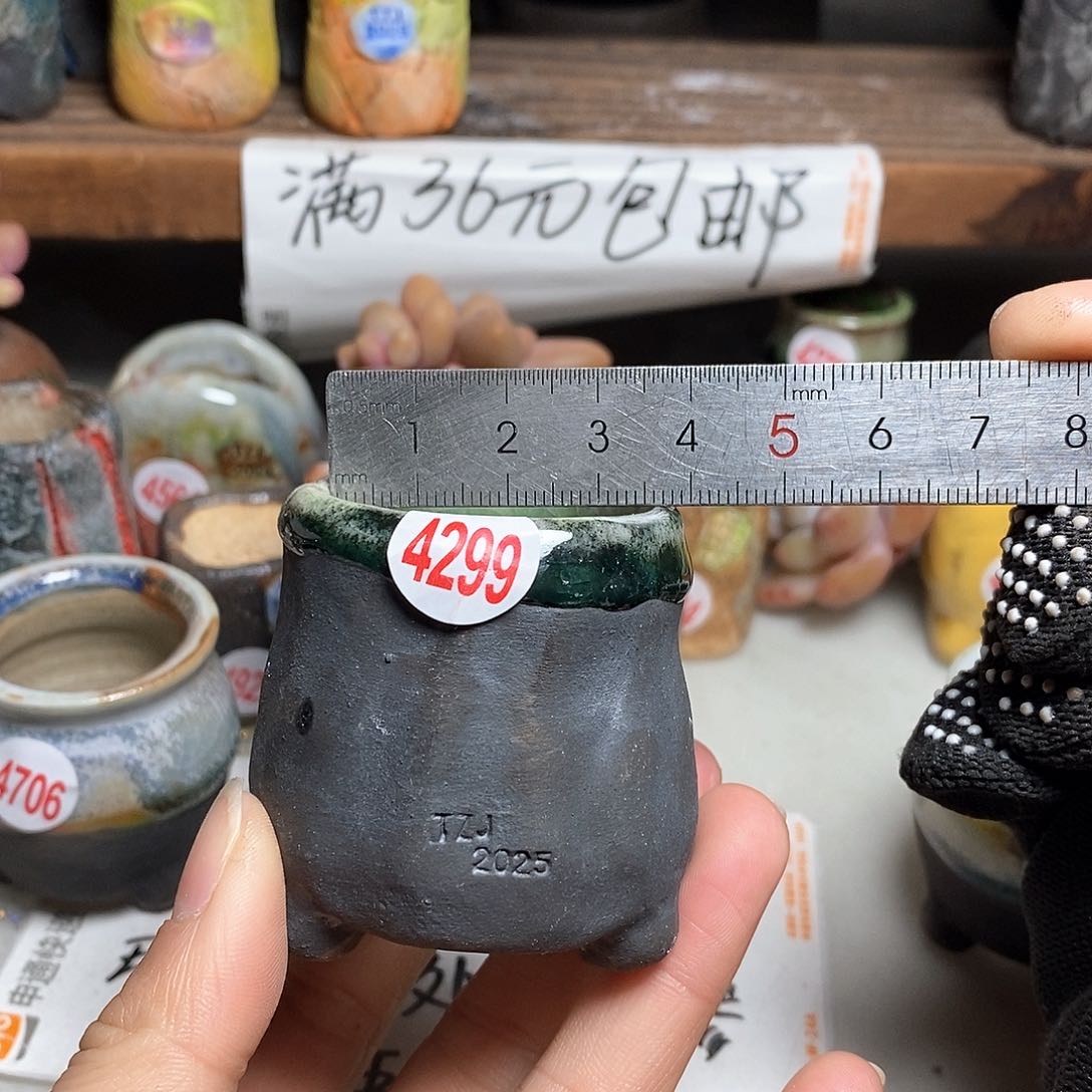 红陶拍5送一个小