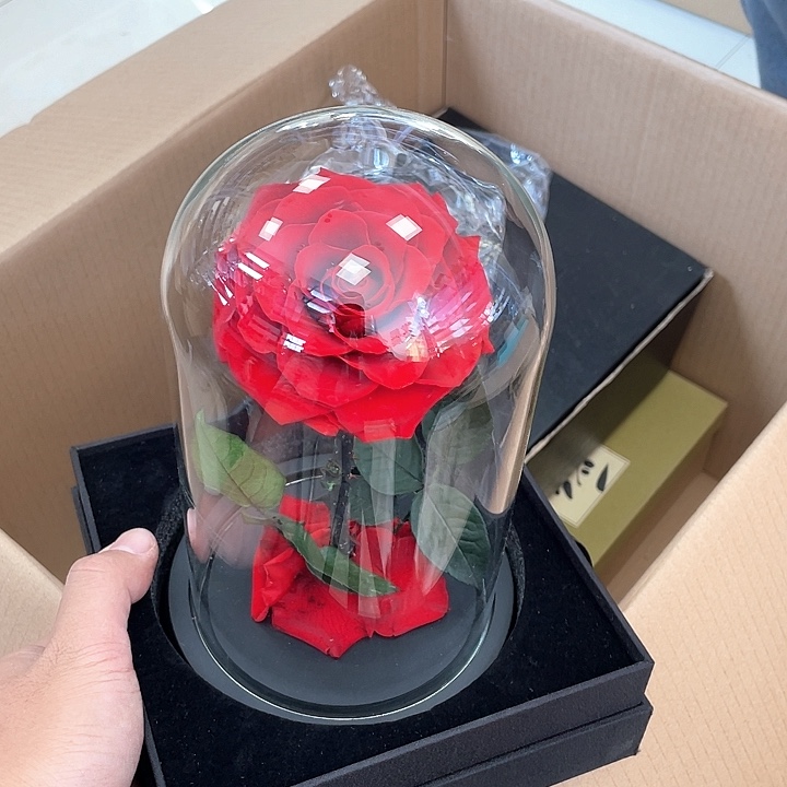 瓷片贝贝贝贝贝贝贝飞