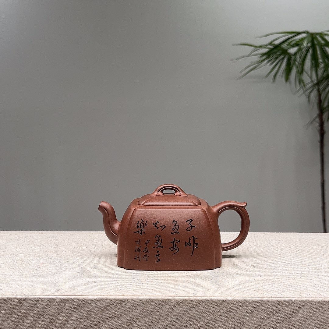 披***喵茶宠紫砂需努力就会更过分