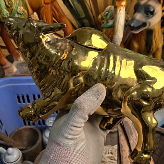 你***的衣服啊啊啊啊啊啊啊啊