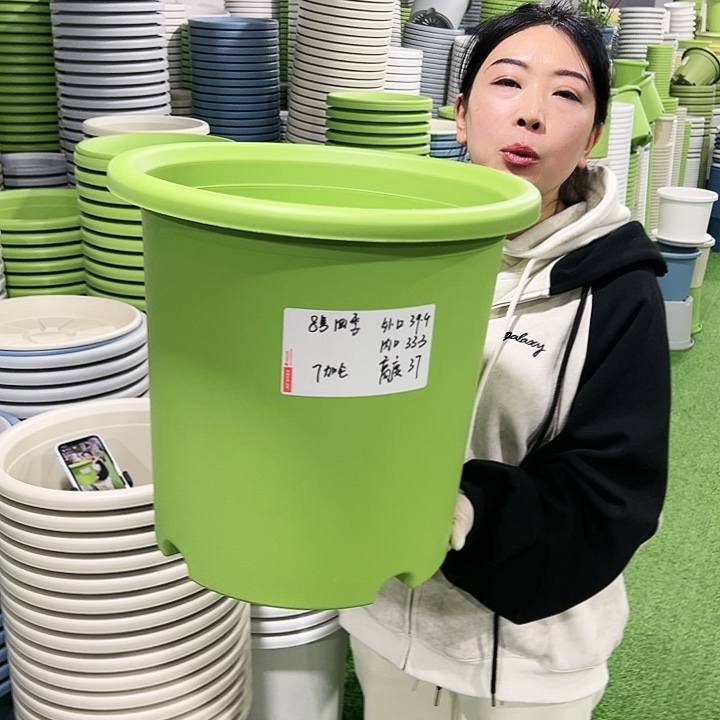 特价8号四季口39高37白色3只无托