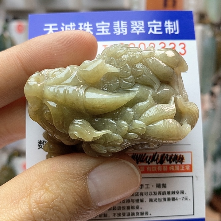 翡翠颈饰未镶嵌每天