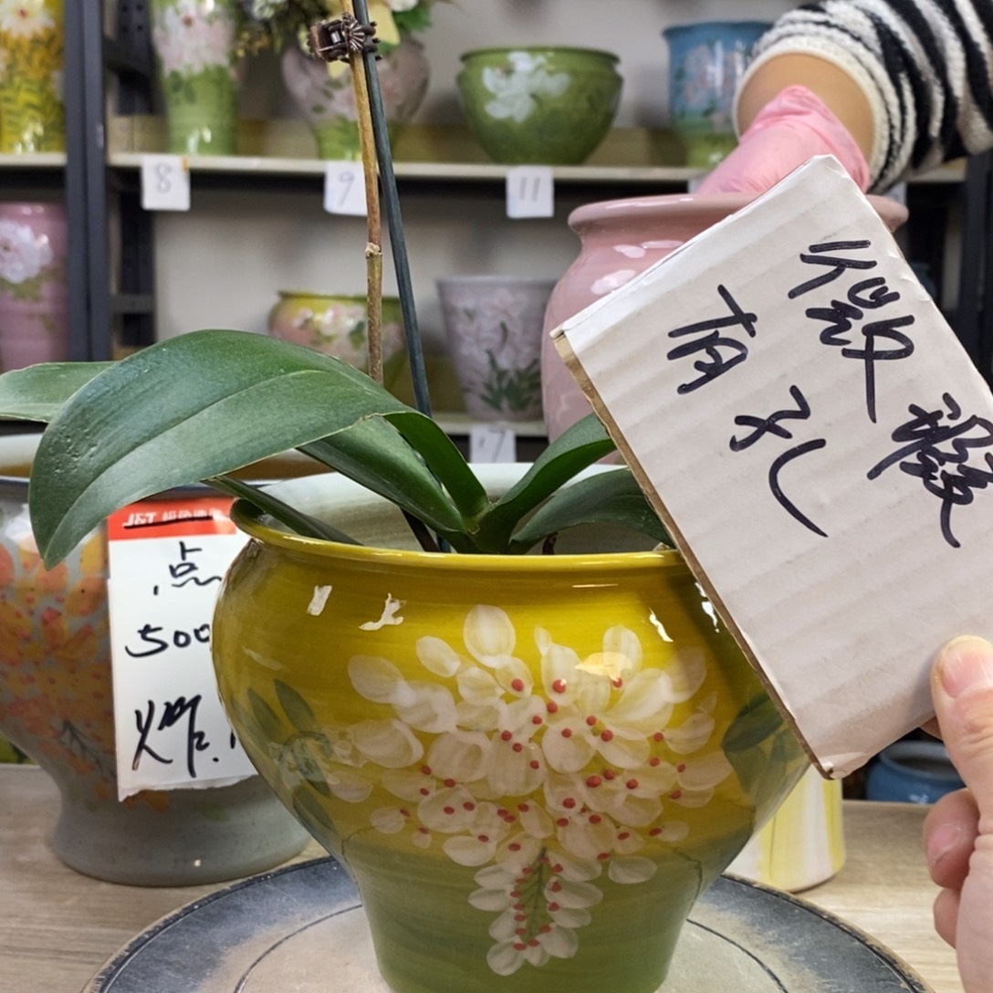 景德镇手工手绘陶瓷花盆