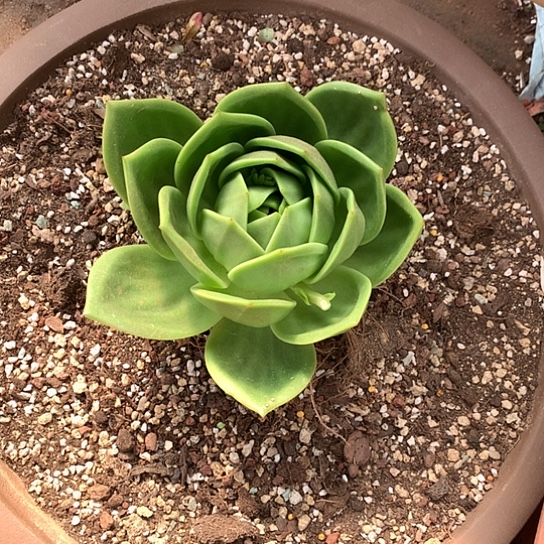 恭**财美肉特价活动开奖啦