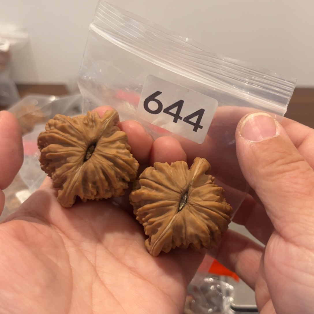 吊坠文玩核桃楼子41有虚尖