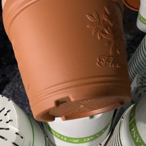 树脂晴*3个中号红色无托