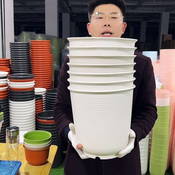 正品高陶口27高27白色4只无托