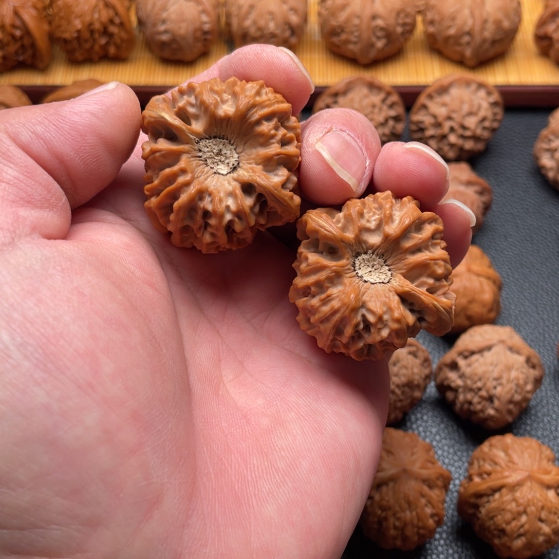 核桃文玩核桃龙门剑