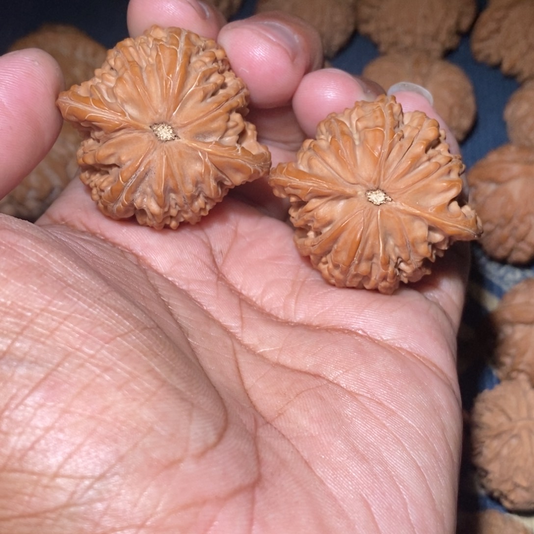 回***候吊坠文玩核桃41尺寸全品无修磨盘