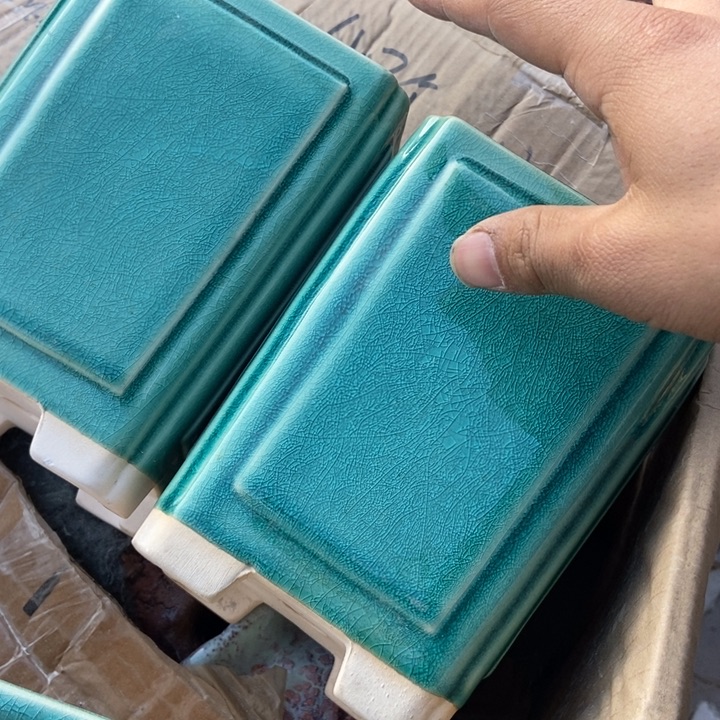 我是一只小小鸟的