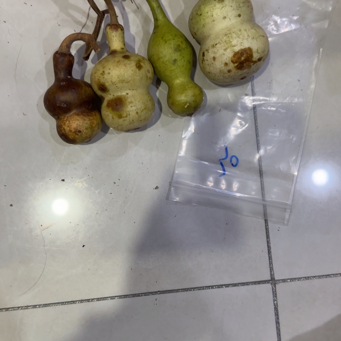 大***子葫芦啦啦乐乐咯乐乐咯来咯哦