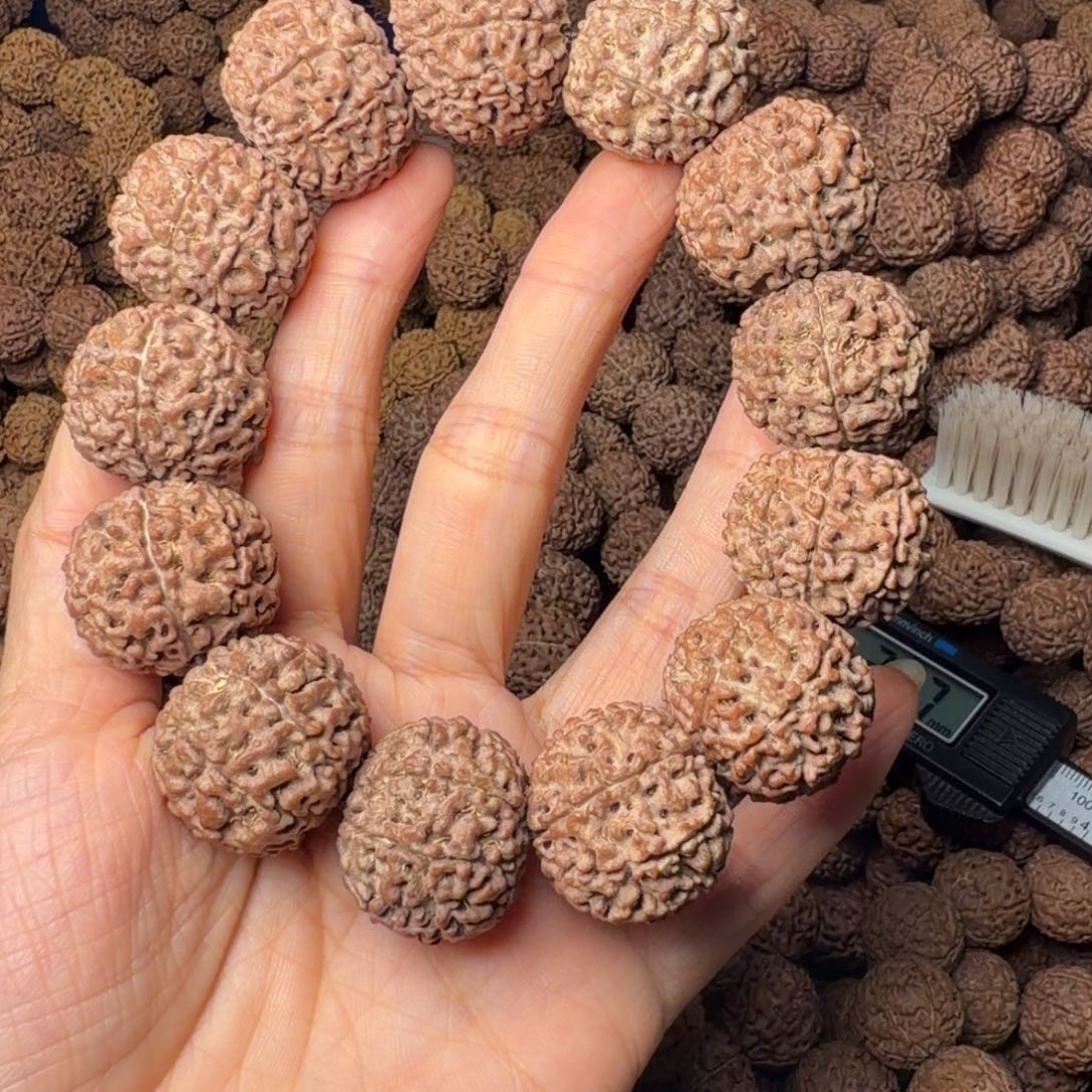 手串金刚菩提8瓣卡25尺，85号