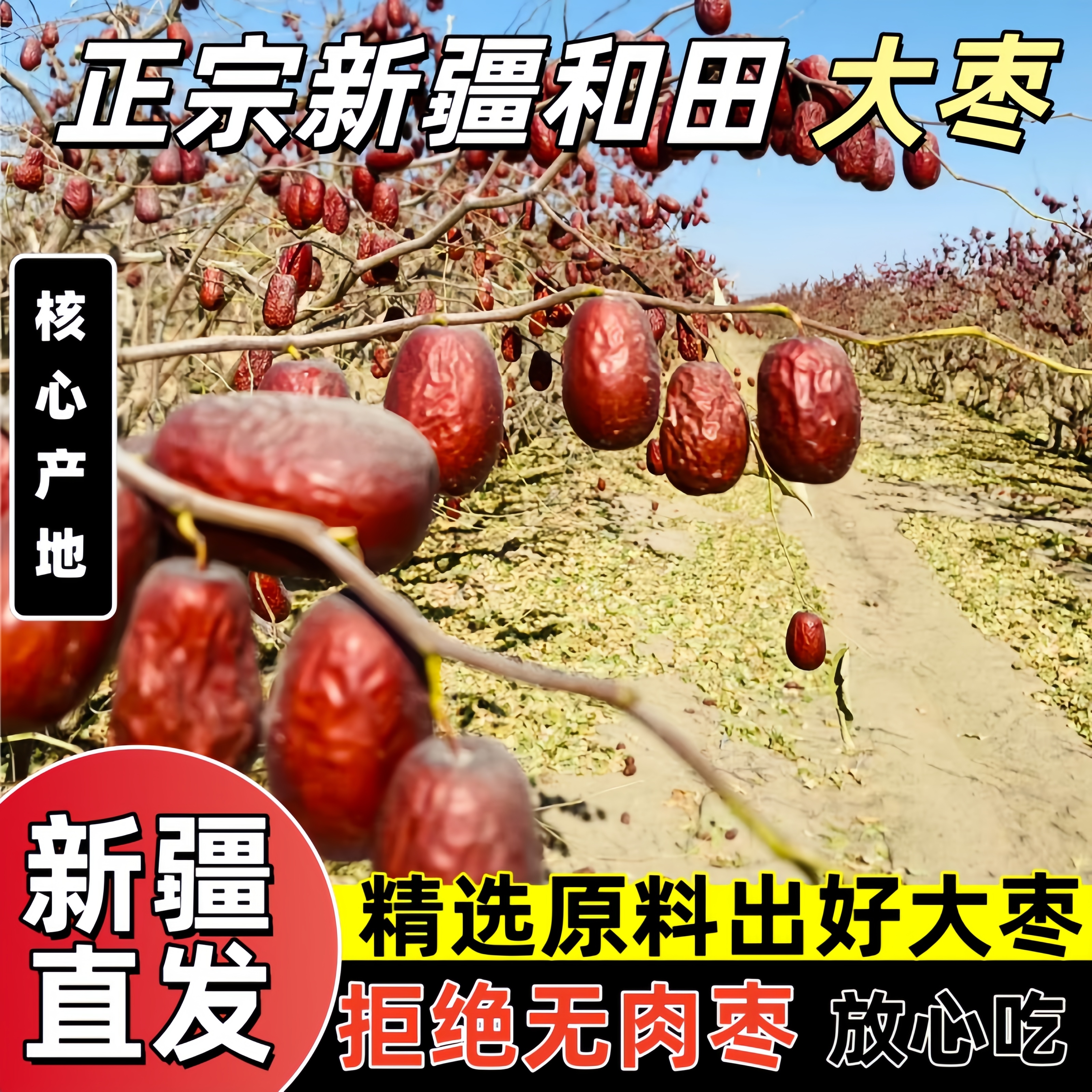 【自然吊干】新疆和田大枣原生态皮薄肉厚枣香浓郁LT-3