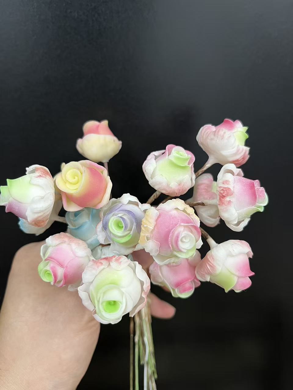 小玫瑰盆插