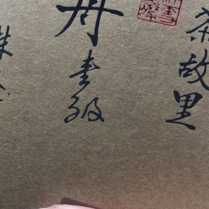 杯方守龙24，一级牡丹50g分享