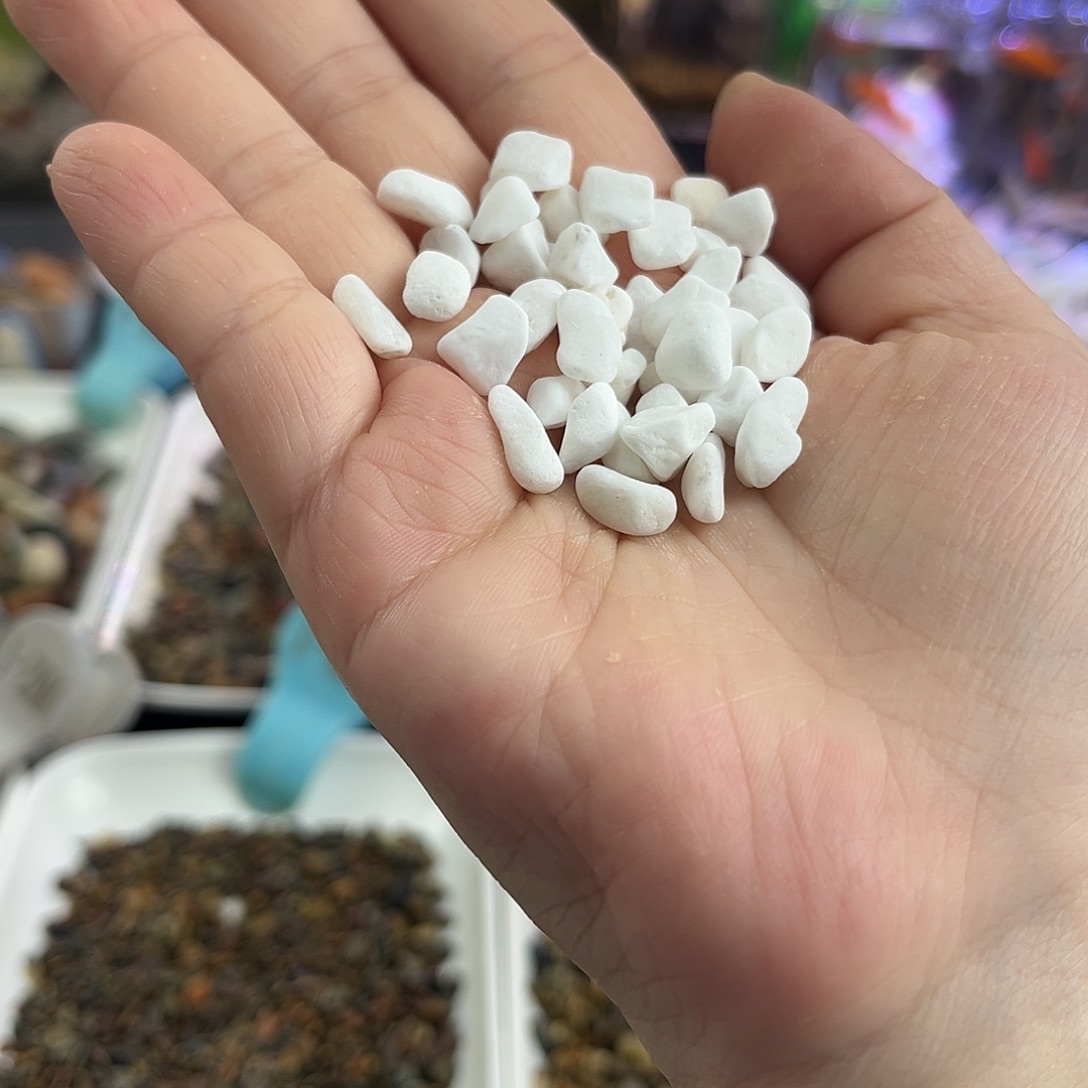 纯天然的白玉石5-8mm10斤