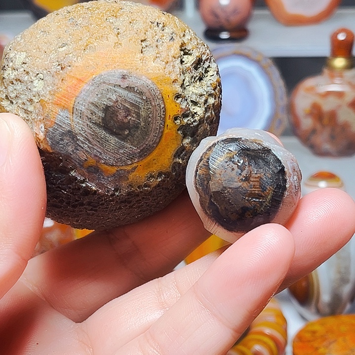 秀***驹玛瑙/玉髓未镶嵌珠宝奇石