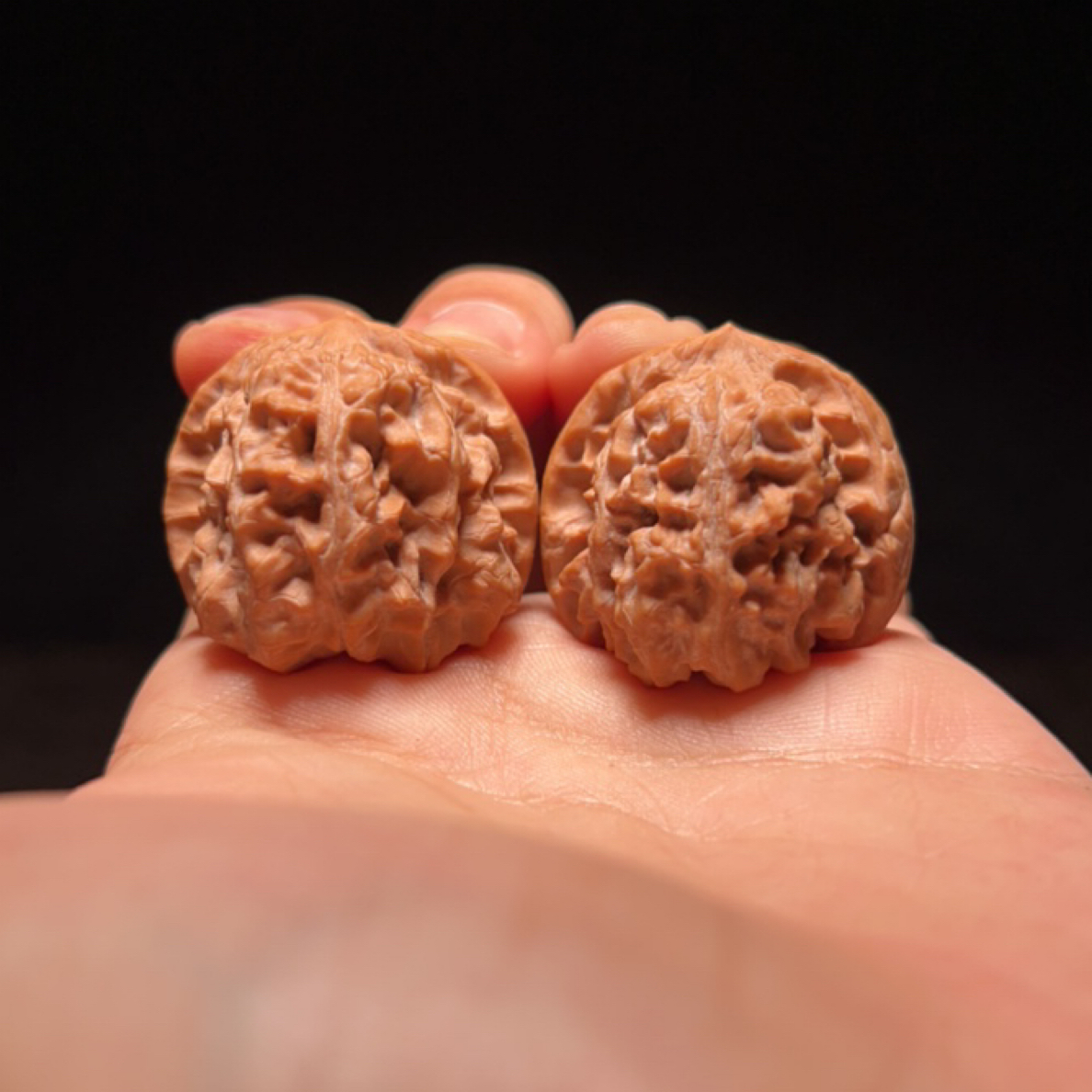 文玩核桃 蓟县红马蹄 12630号 33尺寸