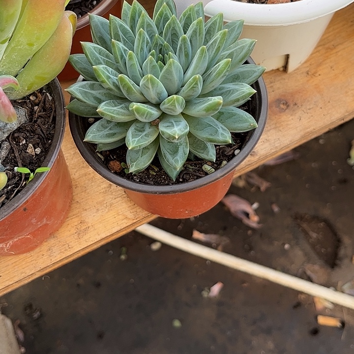 小***B0000000000000000663