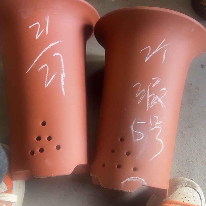 5号…………………………………………