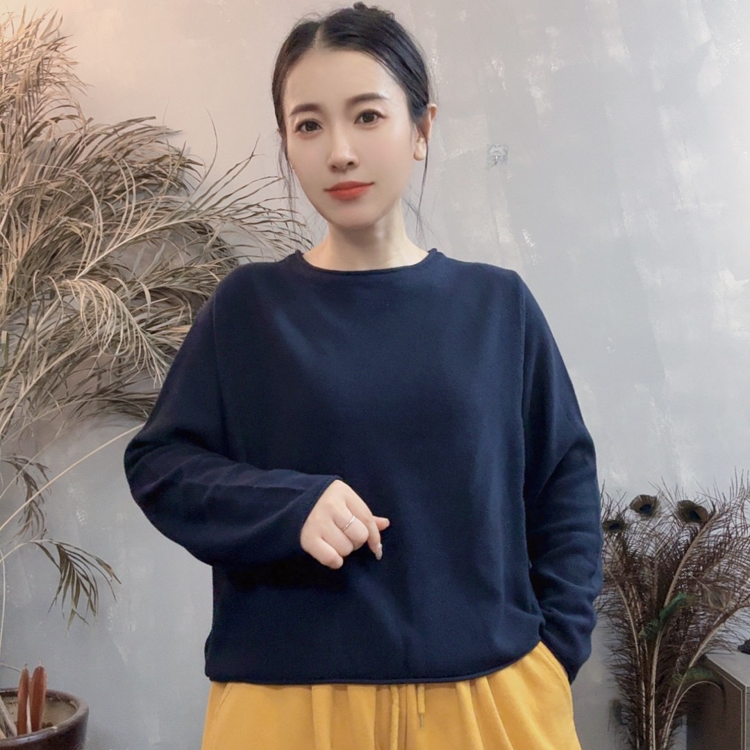2519 小个子休闲秋季新款简约套头针织上衣