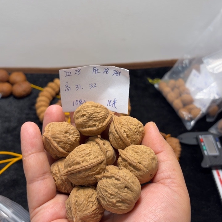 寂***洲文玩核桃手串光头强10颗