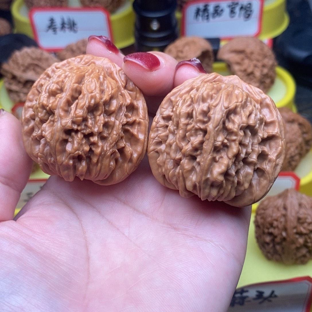y***g菩提籽类四座楼楼
