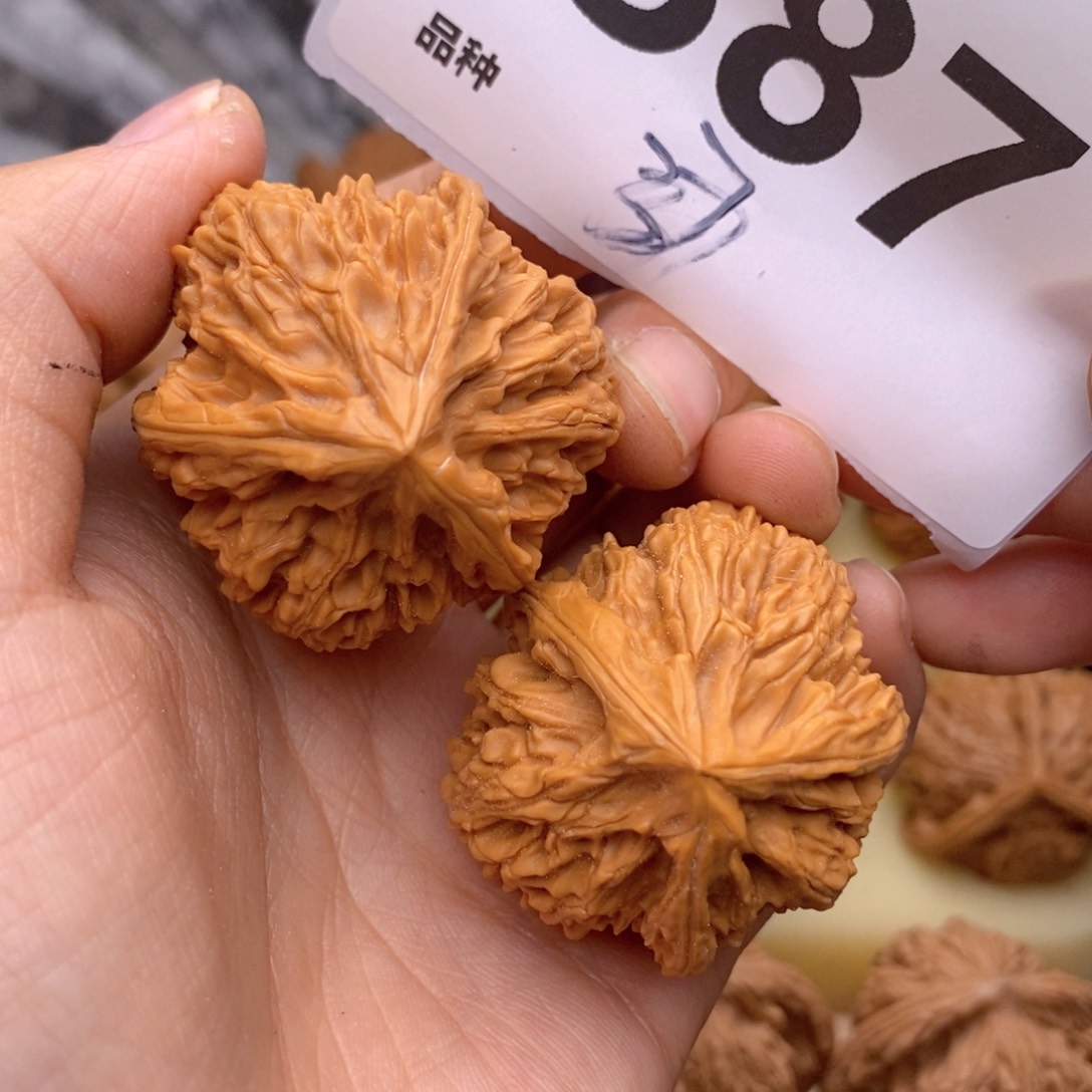 文玩核桃把件387号37文山