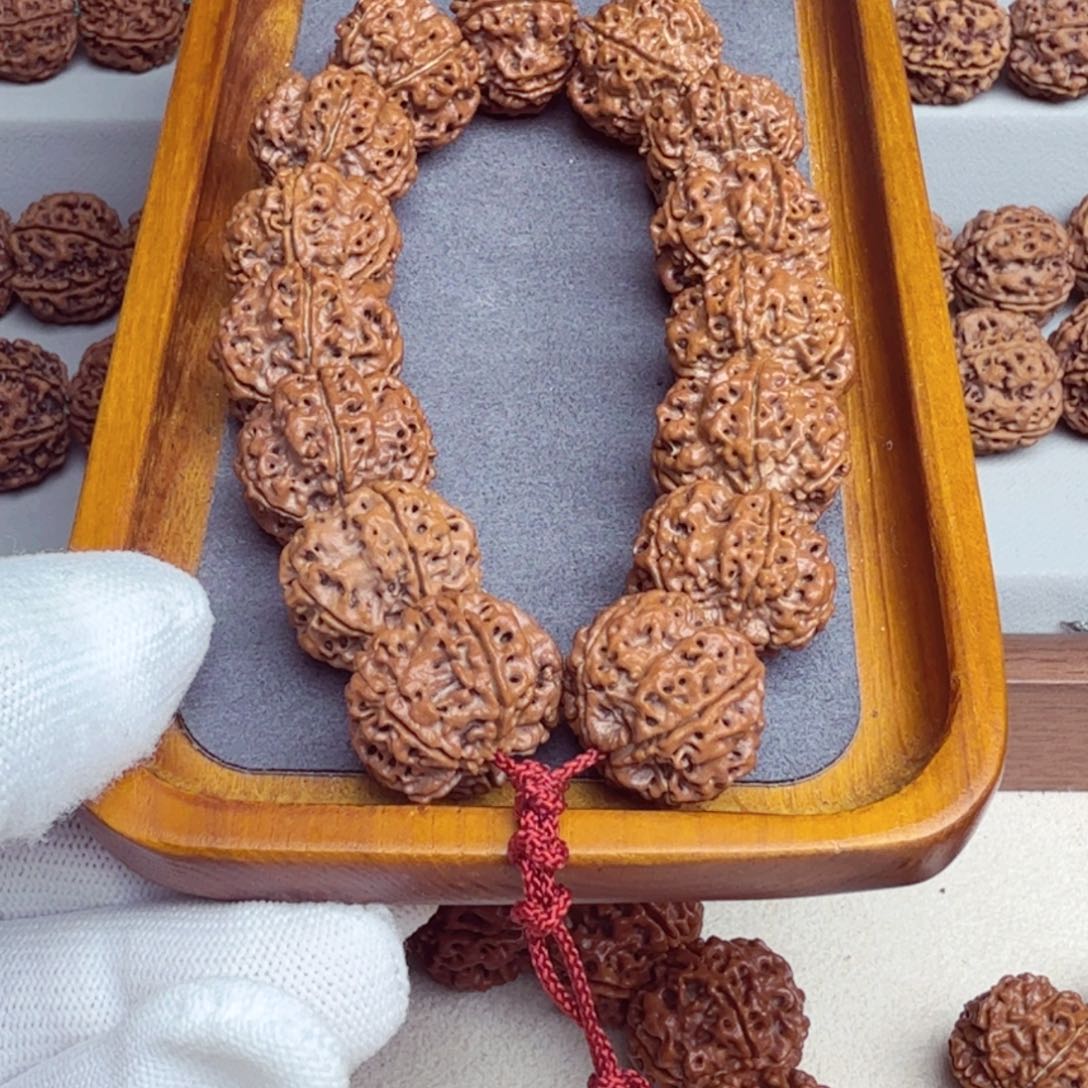 金刚菩提吊坠古龙五星梅花双龙起头订制2 2姜黄皮